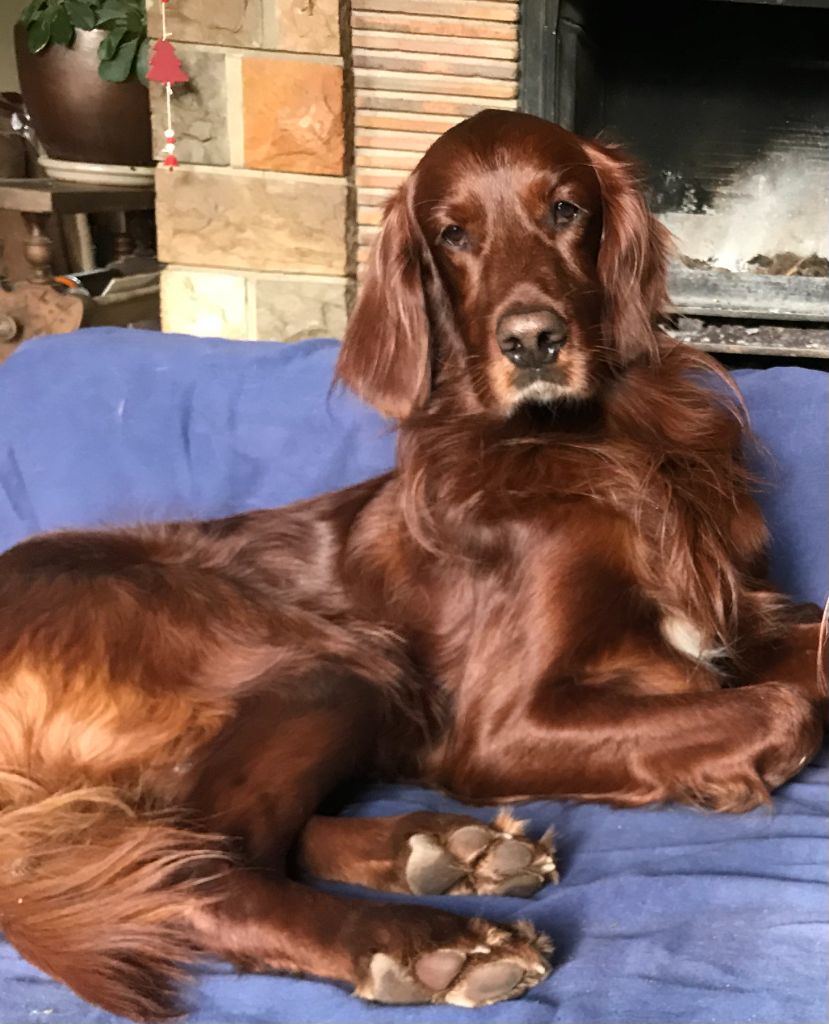 Mulligan de Caramels